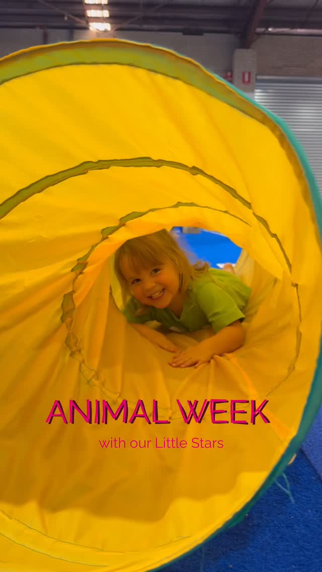 come along & check out what our little stars have...